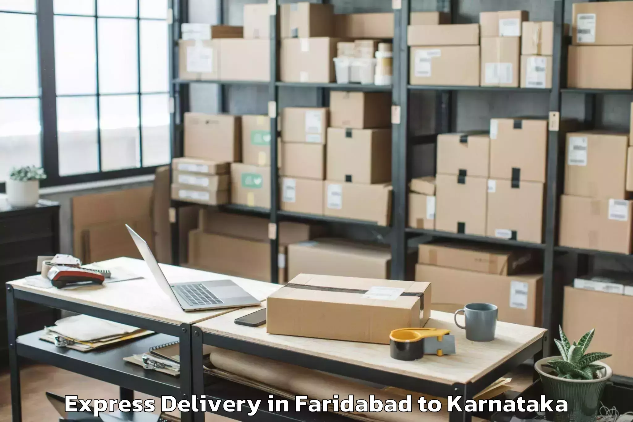 Affordable Faridabad to Panja Dakshin Kannad Express Delivery